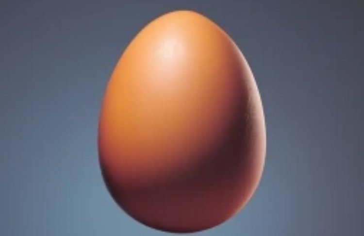 21 день инкубации куриного яйца перестает быть отраслевым стандартом