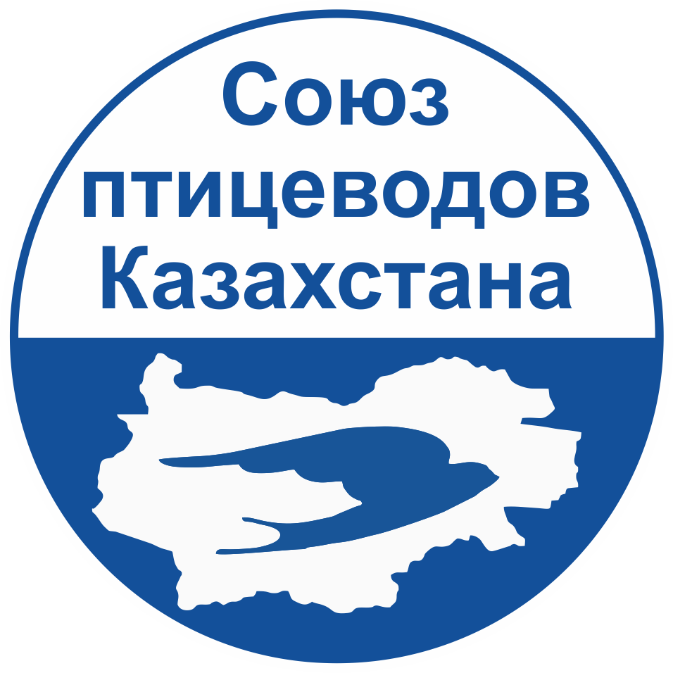 Телеграмм канал Союза